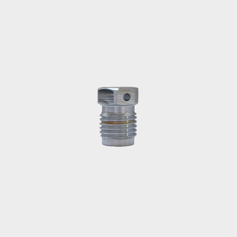 Plug for burst disc port