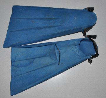 Ploutve - Fins