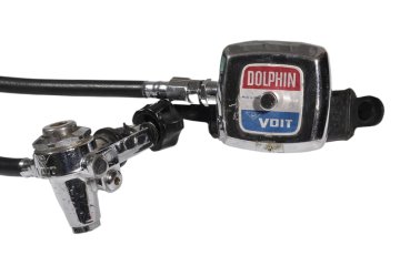 Voit Dolphin