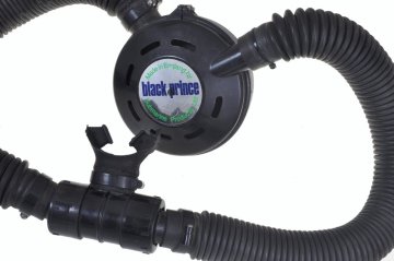 Black Prince