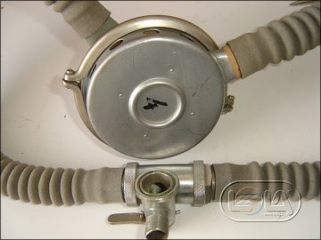 AVM 1
